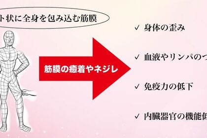 痛み不調はここから